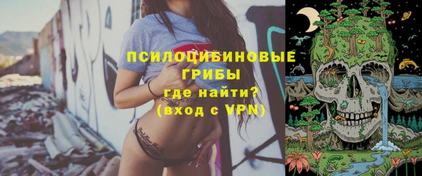МДПВ Алексин