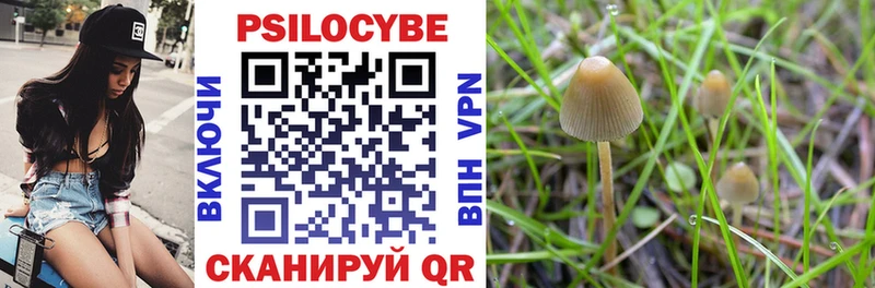 Псилоцибиновые грибы Magic Shrooms  Купить  Трёхгорный 